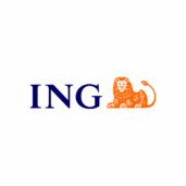 ING BANK N.V. recenzia